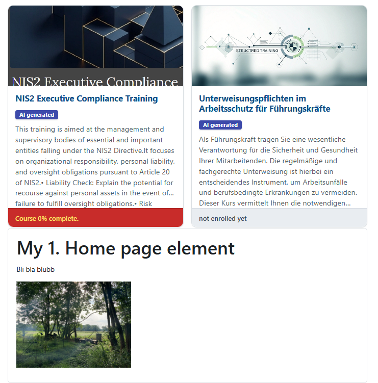 Custom-defined homepage 2.png